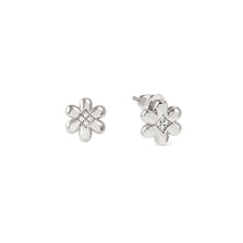 Load image into Gallery viewer, PETIT SPARKLE STUDS 242304/010 STERLING SILVER FLOWER WITH CZ