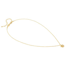 Load image into Gallery viewer, DREAMS BEATS NECKLACE 242602/009 GOLD STAR WITH CZ