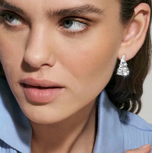 Load image into Gallery viewer, DAYTONIGHT SILVER EARRINGS 242106/010 WHITE CZ