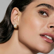 Load image into Gallery viewer, ENIGMATIC SHINE EARRINGS 242409/012 GOLD WHITE CZ HOOPS