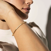Load image into Gallery viewer, SIREN DREAM OPEN BANGLE 243305/010 SILVER & WHITE CZ