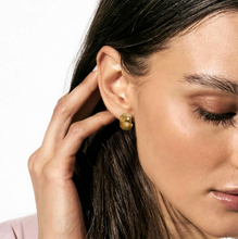 Load image into Gallery viewer, WEAR & STYLE EARRINGS 134519/001 S/STEEL ROUNDED HOOP