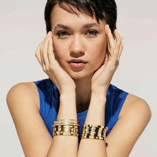 Load image into Gallery viewer, PRETTY BANGLES SATINSHINE 029522/23/24/020 GOLD THIN WHITE CZ