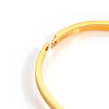 Load image into Gallery viewer, PRETTY BANGLES SATINSHINE 029537/38/39/020 WIDE GOLD &amp; WHITE OVAL CZ
