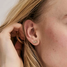 Load image into Gallery viewer, SOFFIO D&#39;AMORE EARRINGS 134008/017 GOLD TREE OF LIFE WITH CZ
