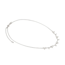 Load image into Gallery viewer, LIFE BOUQUET NECKLACE 242507/010 SILVER &amp; WHITE CZ
