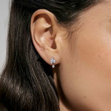 Load image into Gallery viewer, LIFE BOUQUET EARRINGS 242510/010 SILVER &amp; WHITE CZ STUDS
