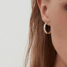 Load image into Gallery viewer, CHIC &amp; CHARM JOYFUL EARRINGS 148636/017 SILVER &amp; PINK CZ
